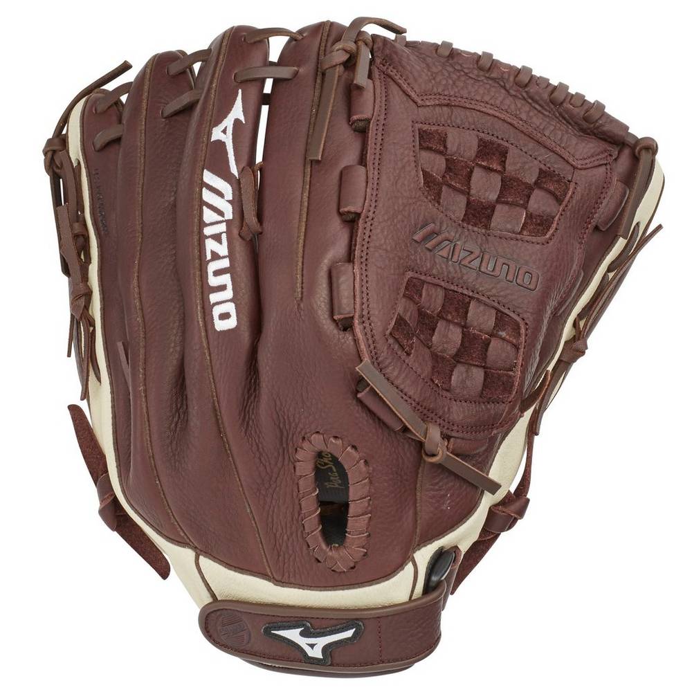 Guantes Mizuno Franchise Series Slowpitch 14" Hombre Cafe/Plateadas Comprar EBJV-43126